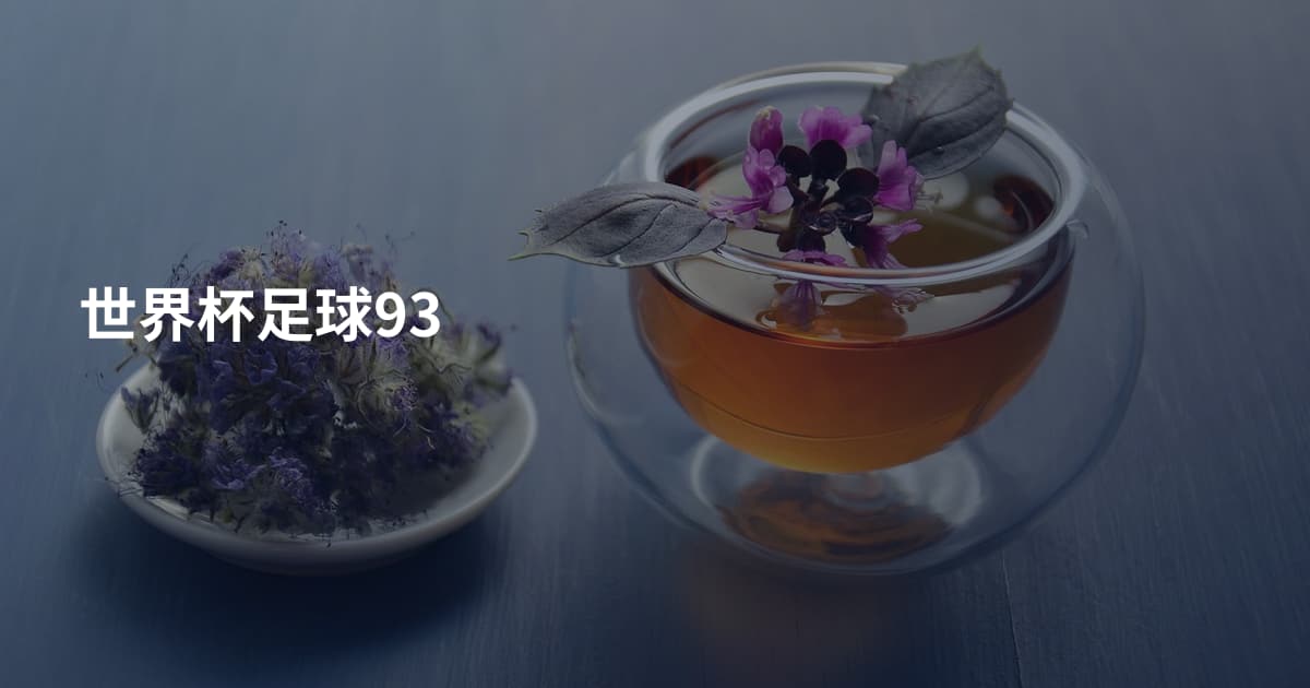 世界杯足球93