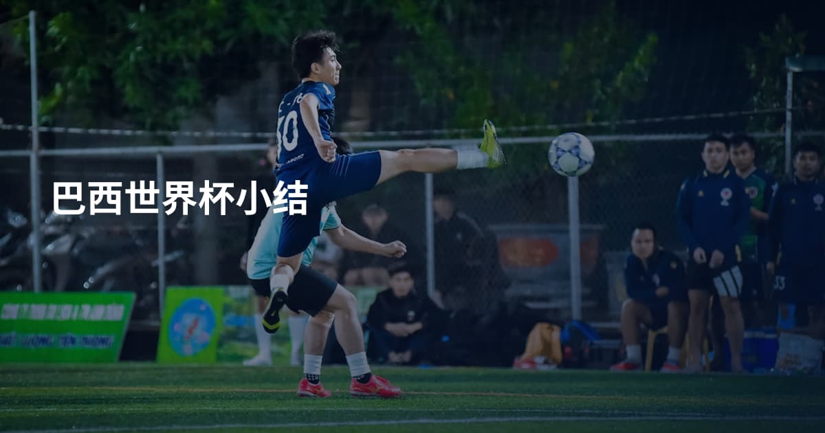 巴西世界杯小结