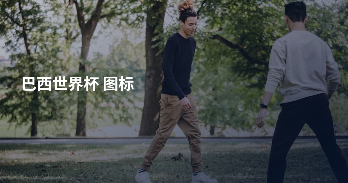 巴西世界杯 图标