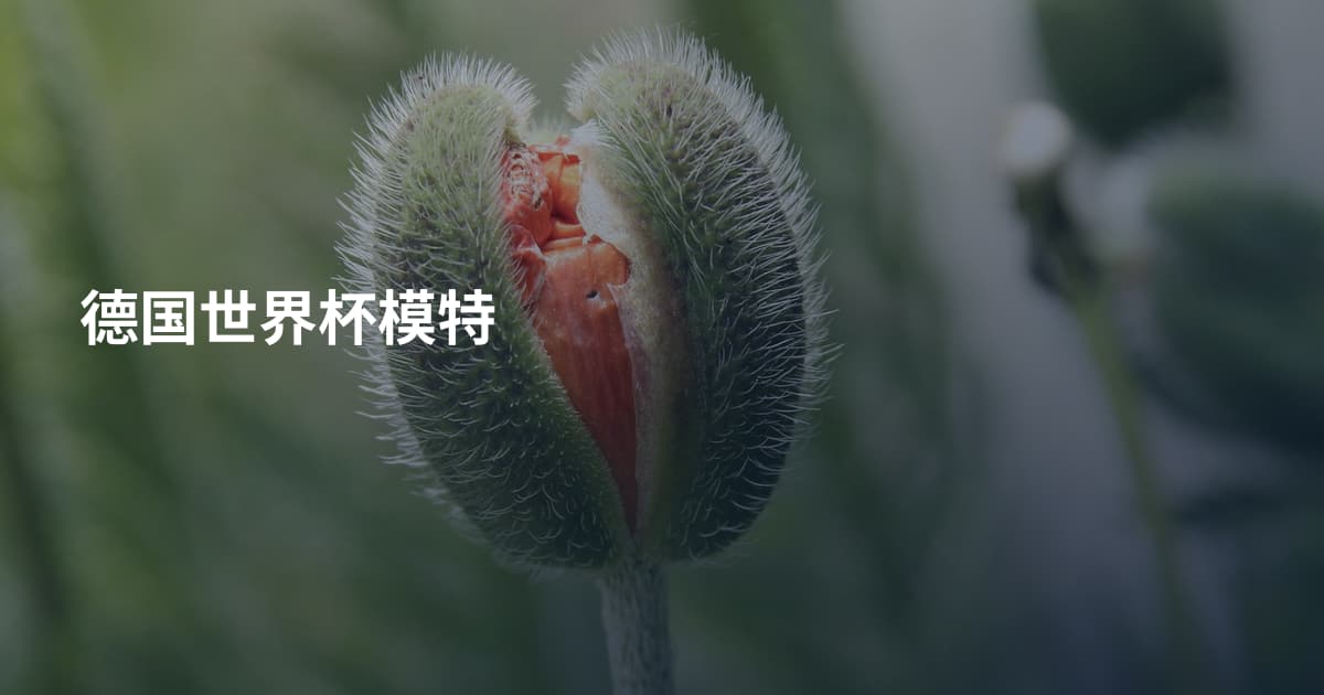 德国世界杯模特