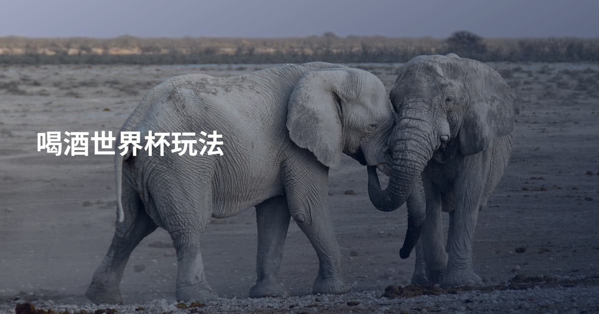 喝酒世界杯玩法
