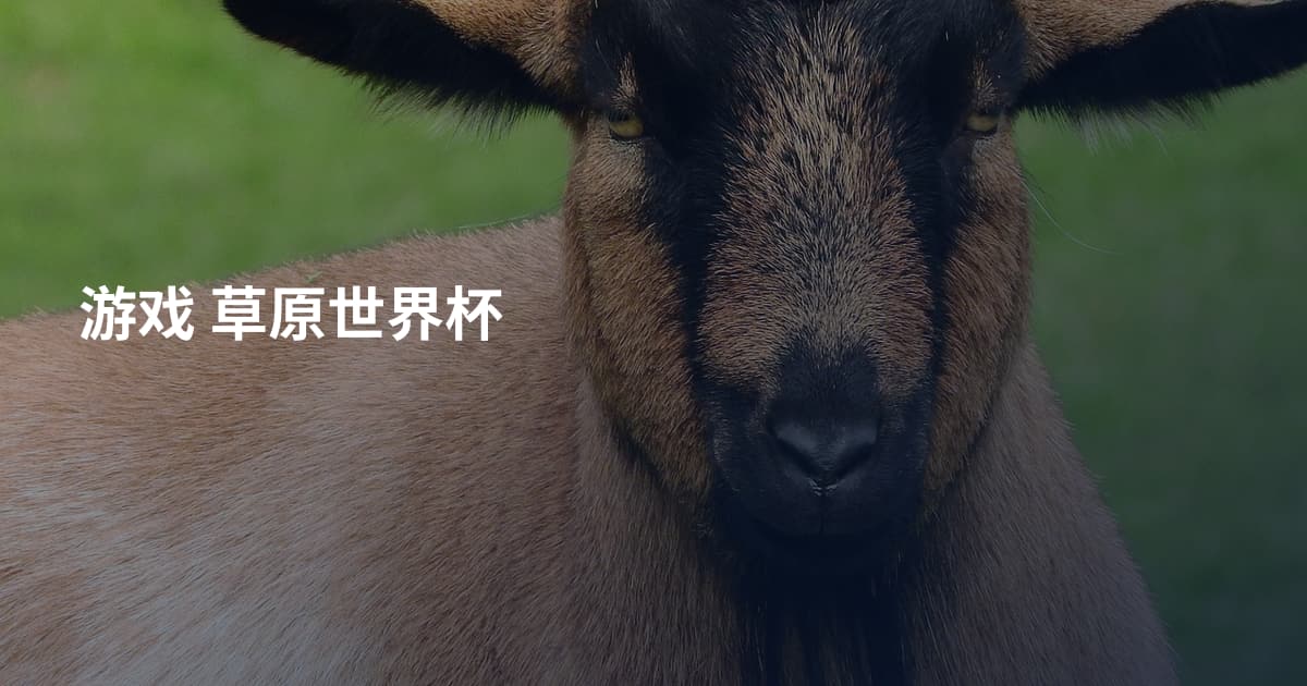 游戏 草原世界杯