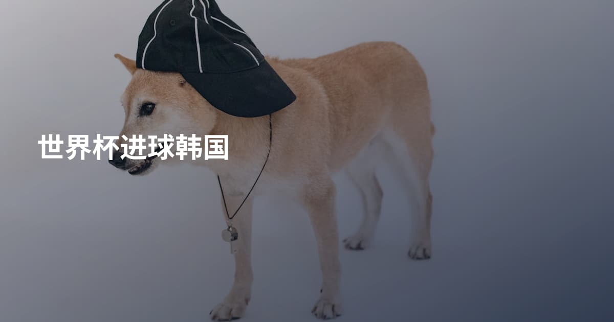 世界杯进球韩国