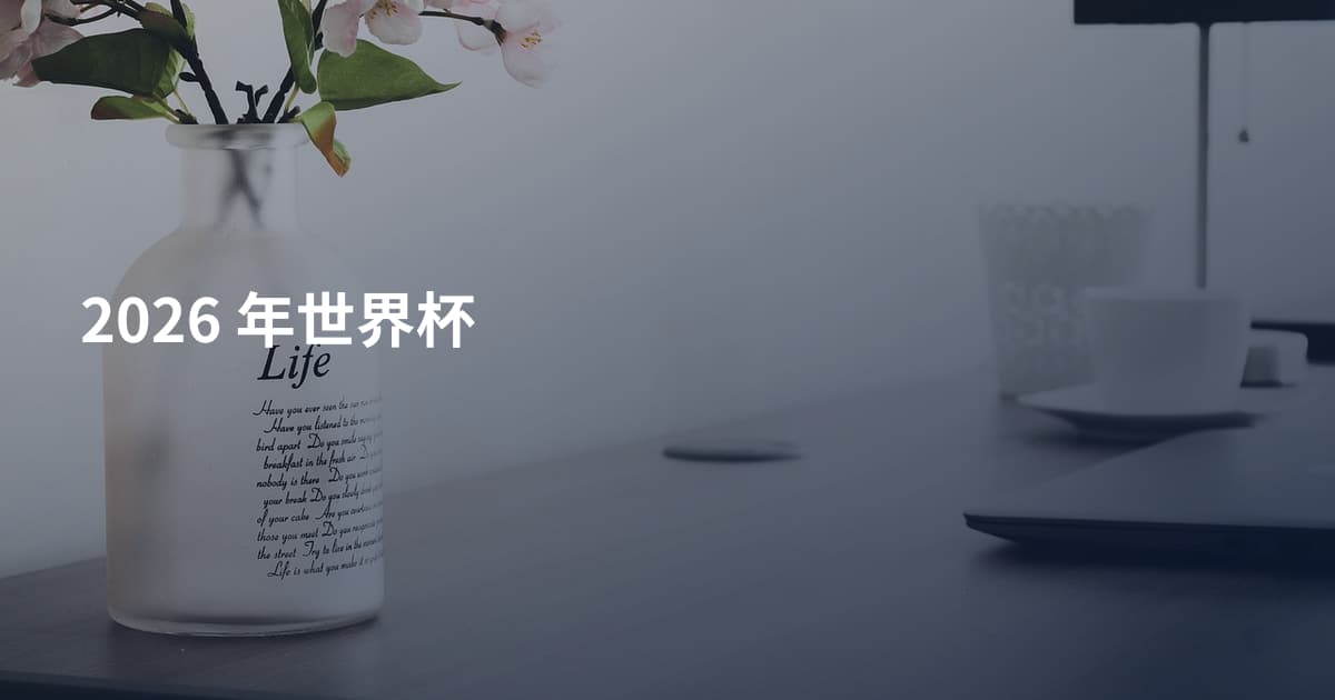 2026 年世界杯