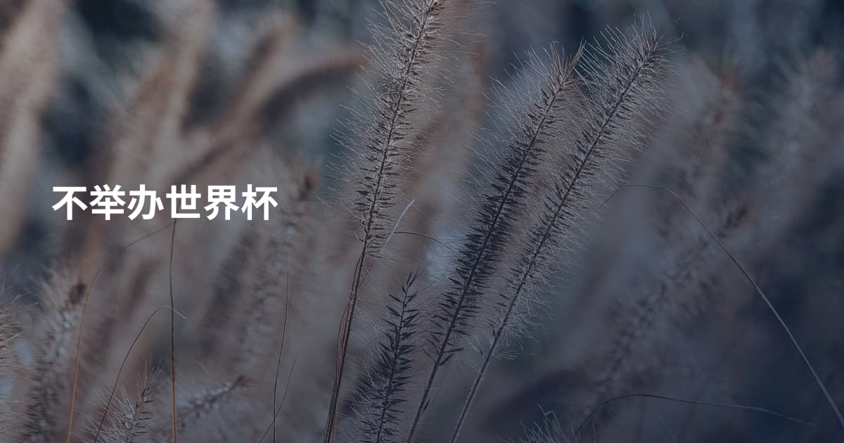 不举办世界杯