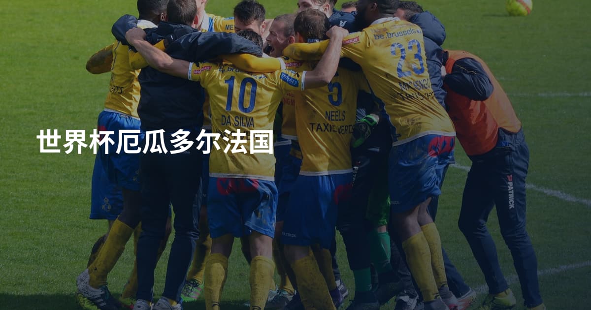 世界杯厄瓜多尔法国