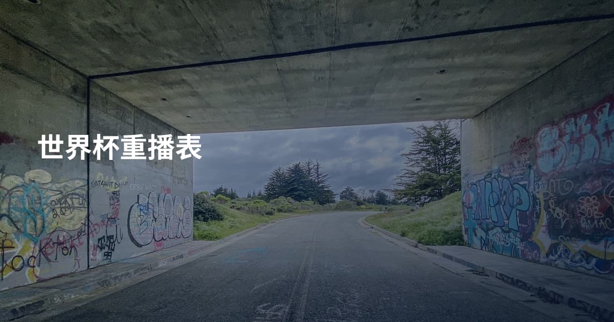 世界杯重播表