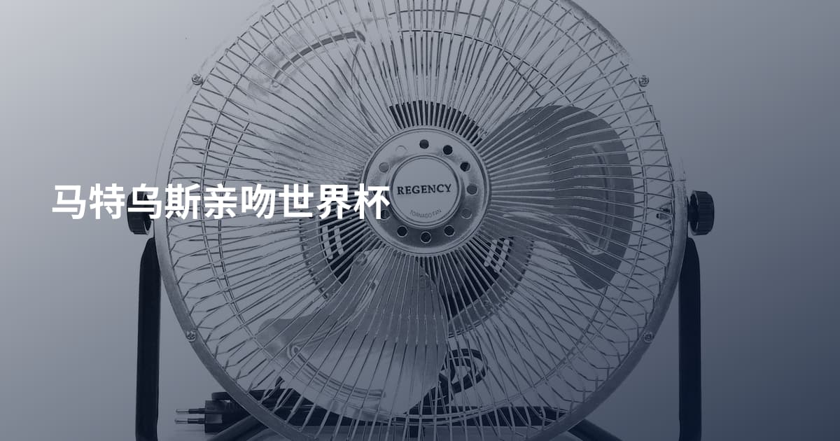 马特乌斯亲吻世界杯