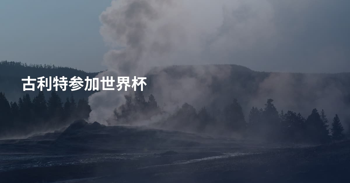 古利特参加世界杯
