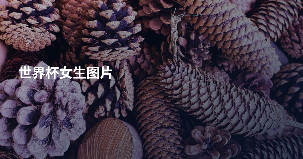 世界杯女生图片