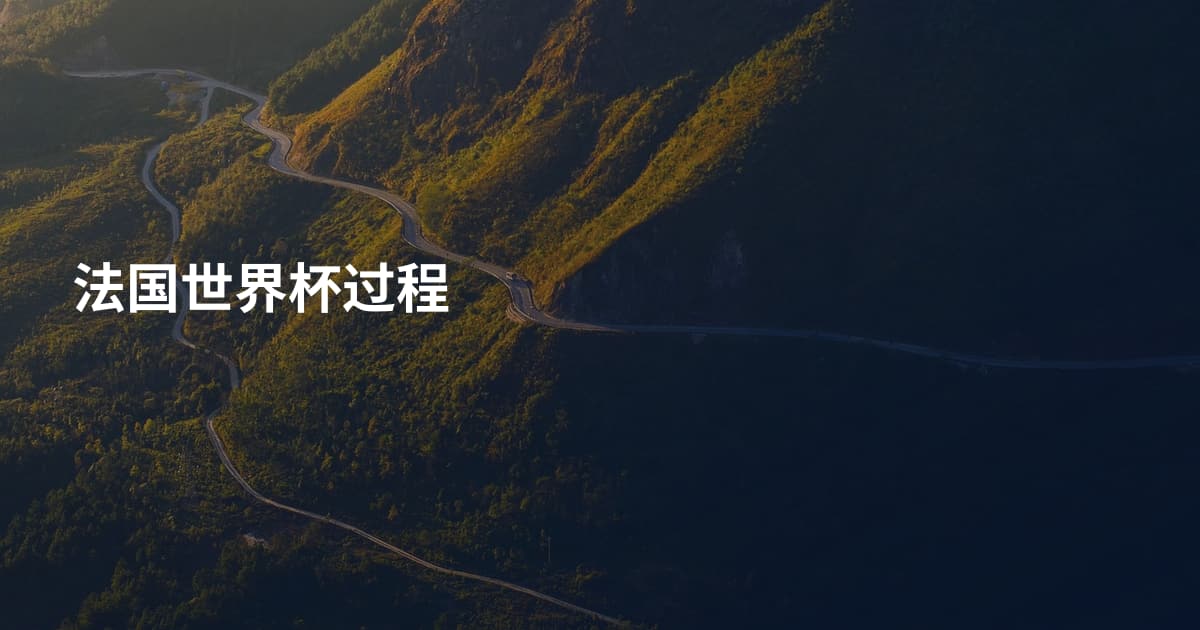法国世界杯过程