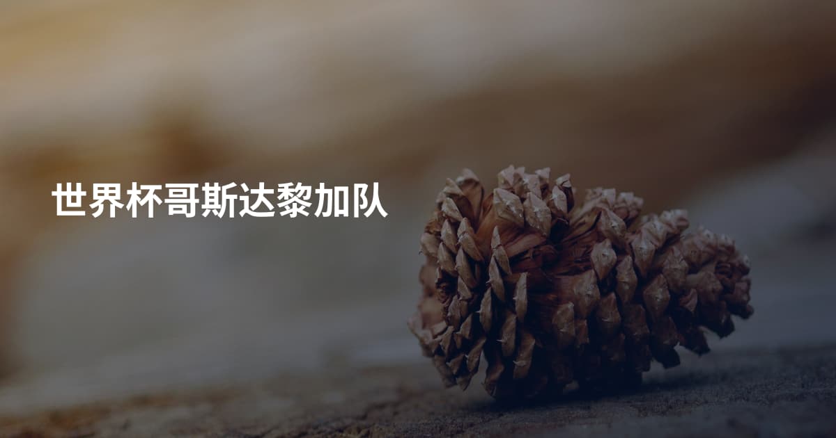 世界杯哥斯达黎加队