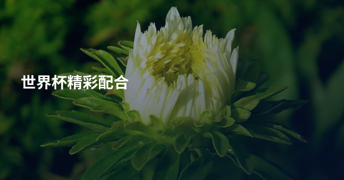 世界杯精彩配合