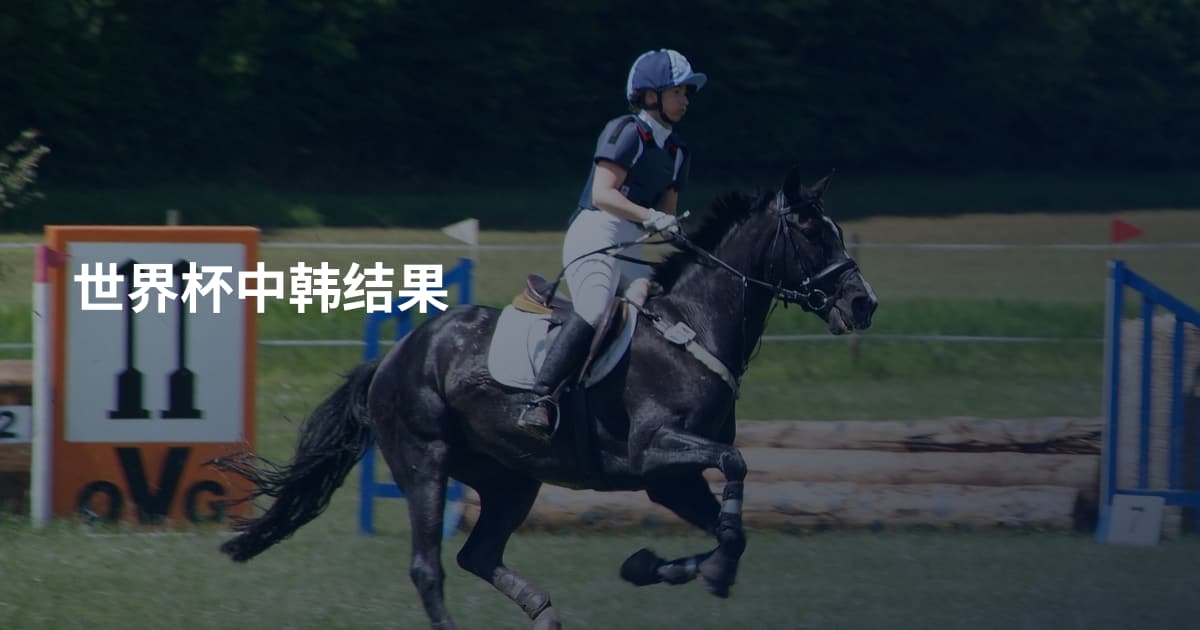 世界杯中韩结果