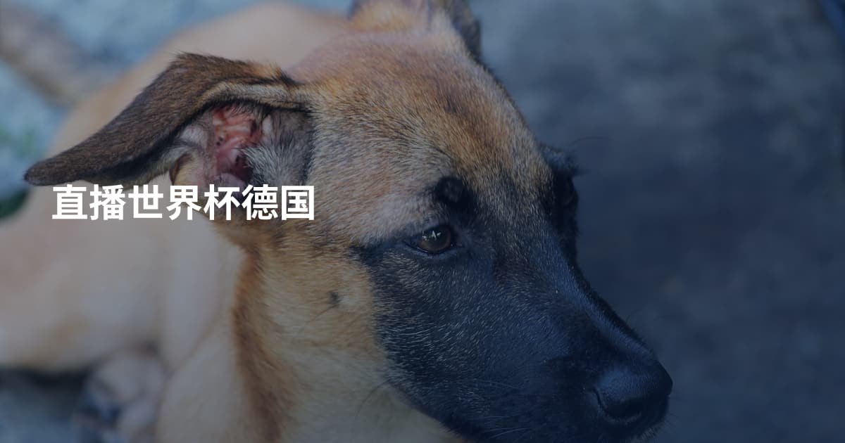 直播世界杯德国
