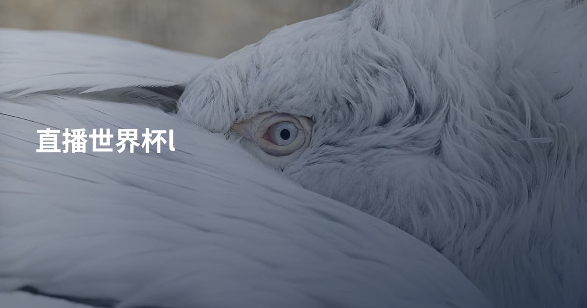 直播世界杯l