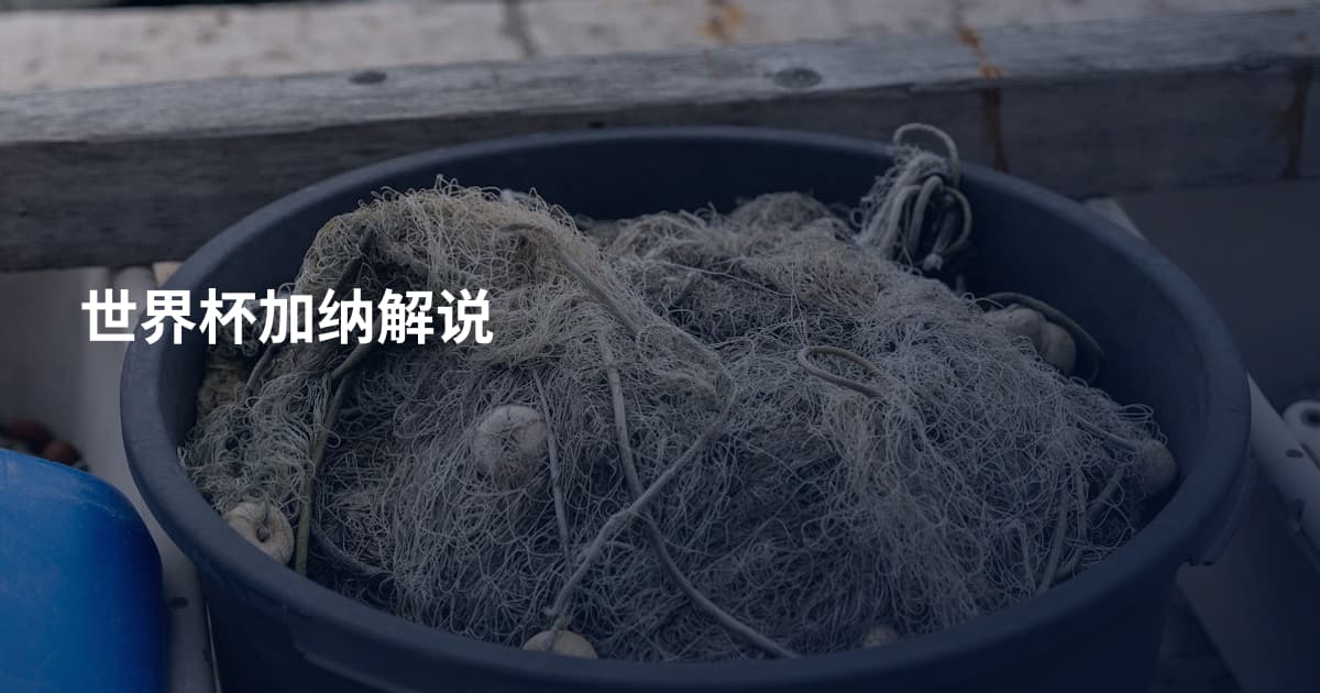 世界杯加纳解说