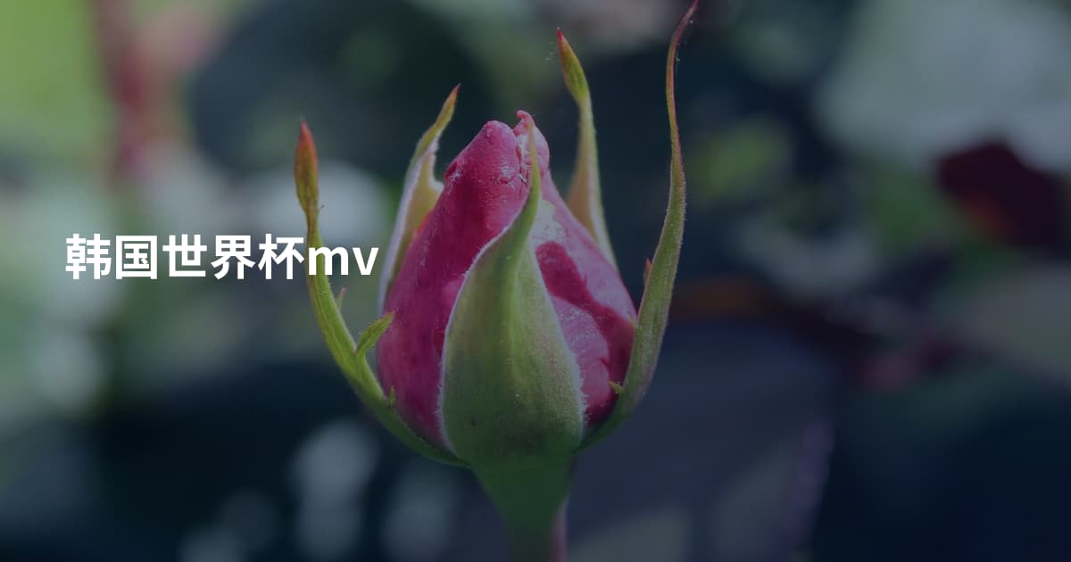 韩国世界杯mv