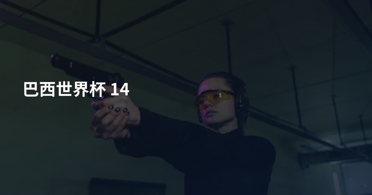 巴西世界杯 14