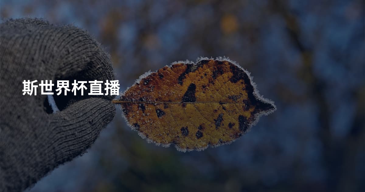斯世界杯直播