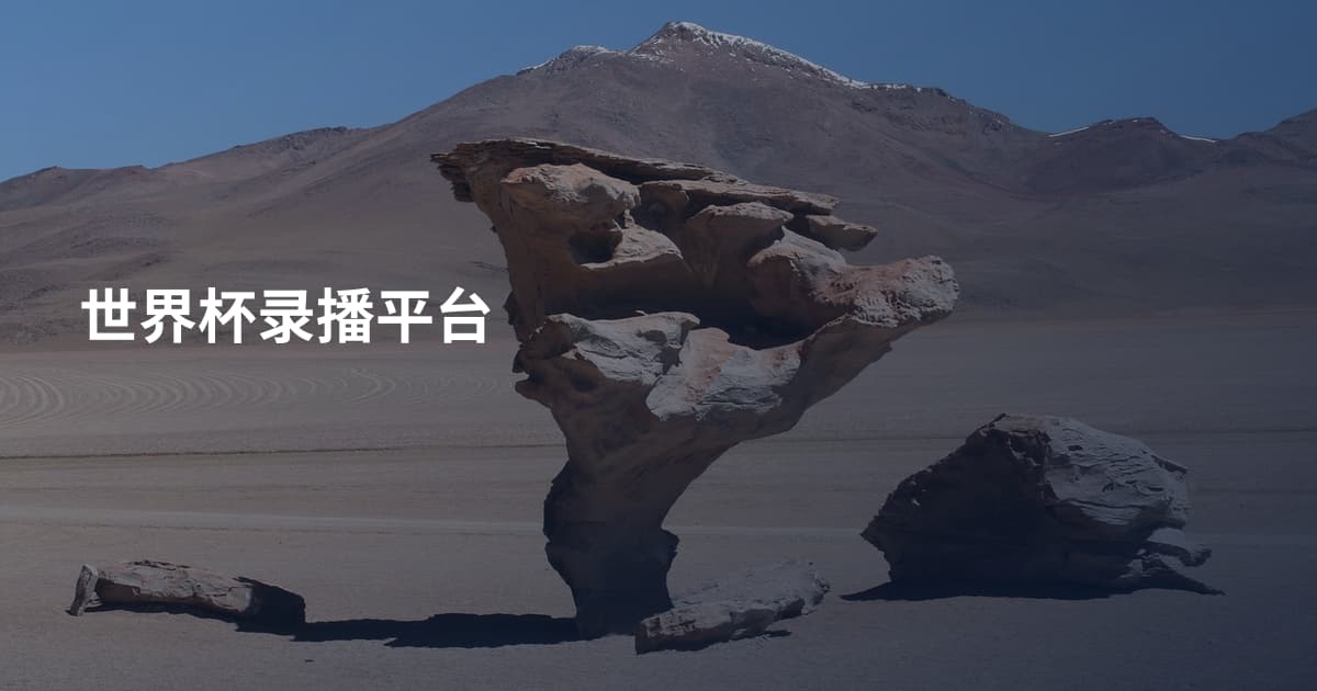 世界杯录播平台