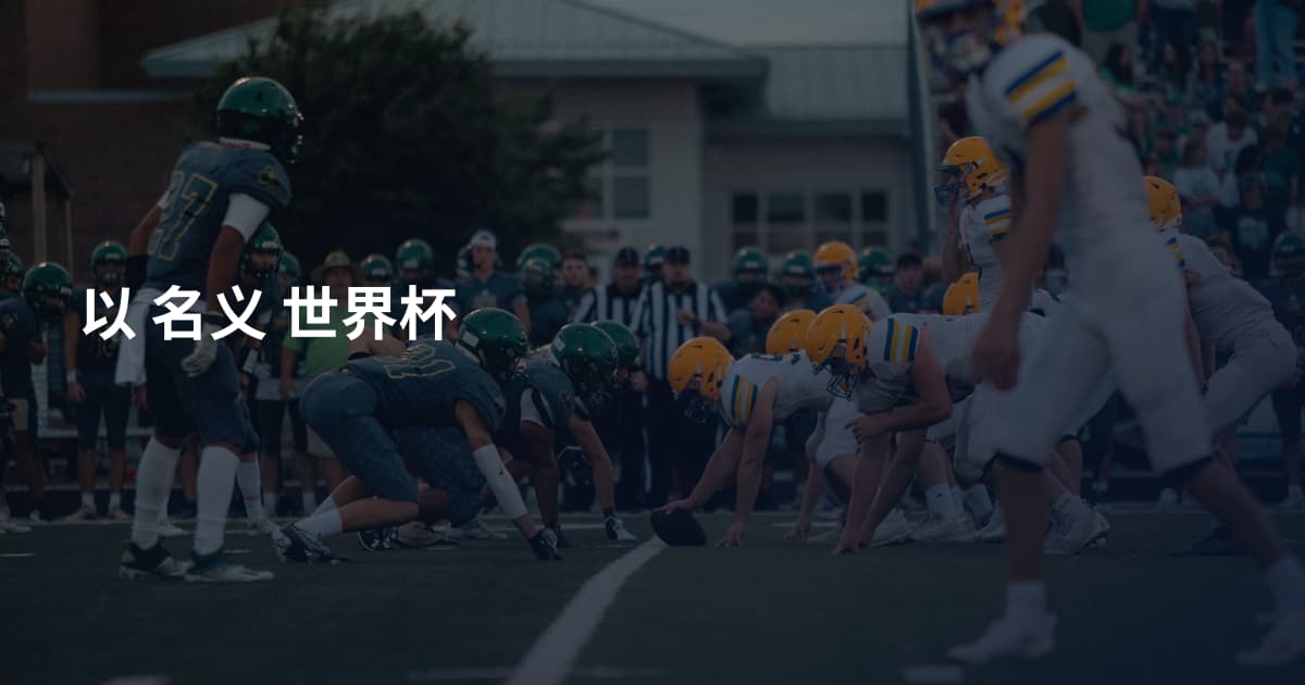 以 名义 世界杯