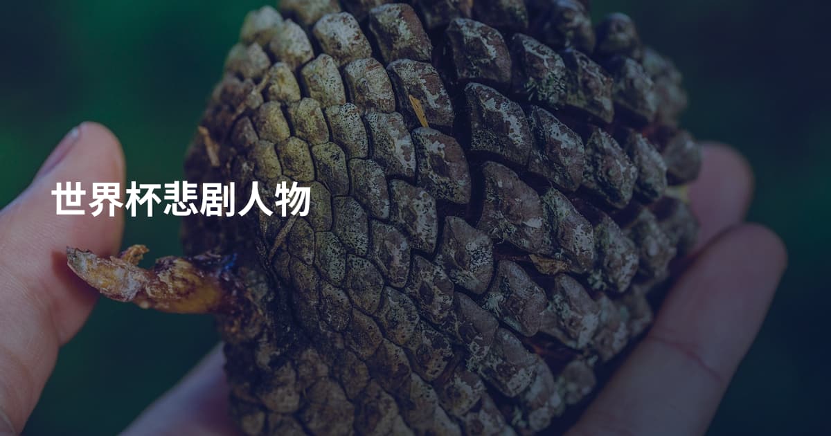 世界杯悲剧人物