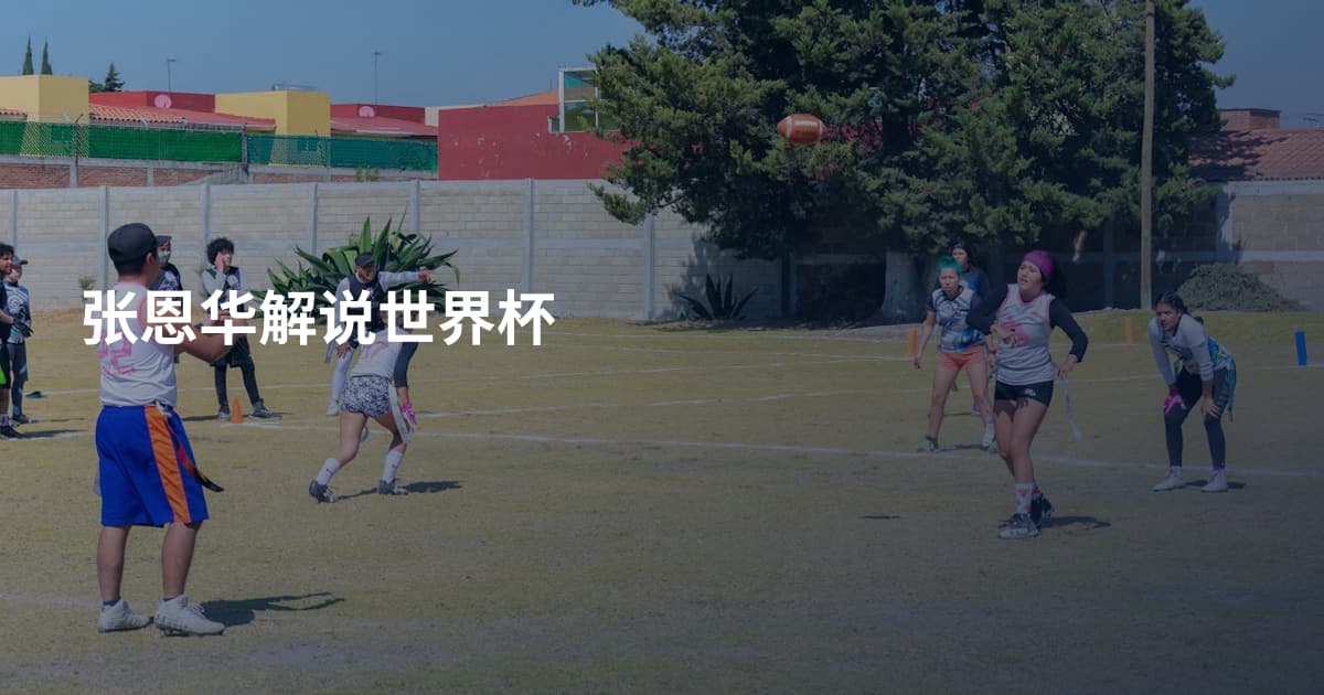 张恩华解说世界杯