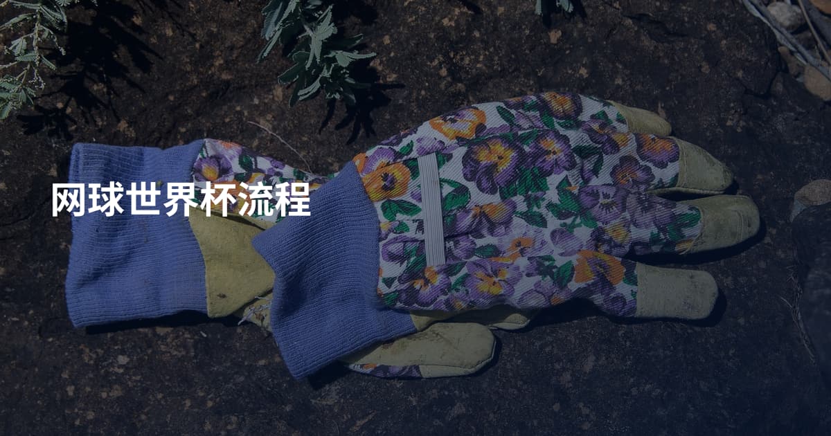 网球世界杯流程