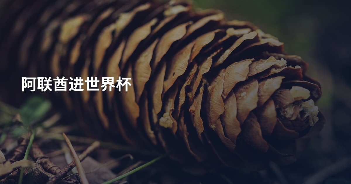 阿联酋进世界杯