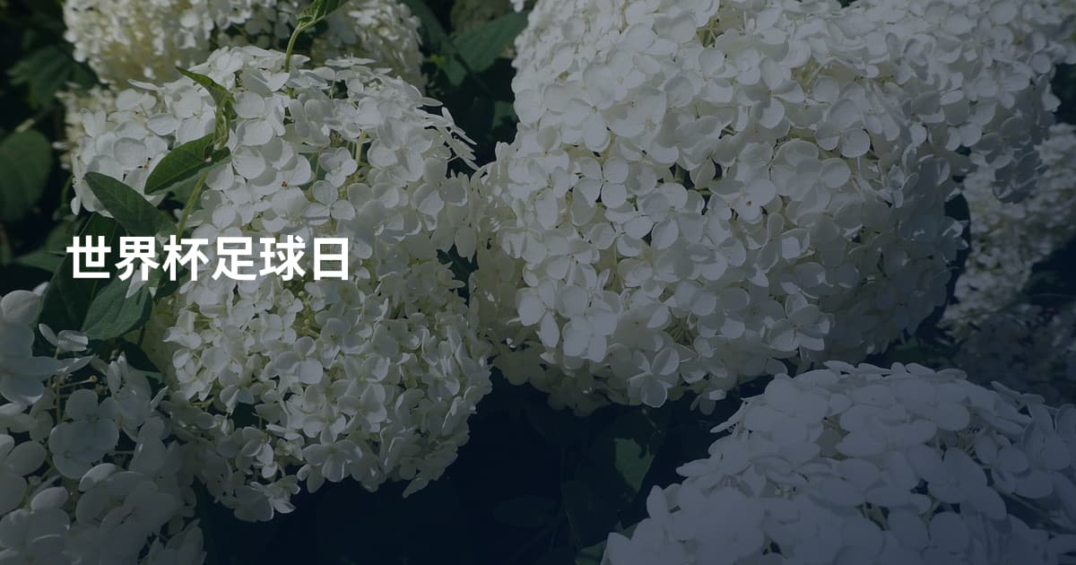 世界杯足球日