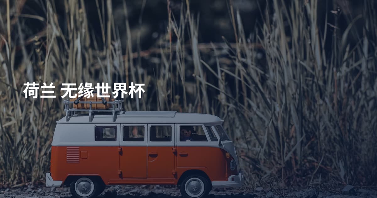 荷兰 无缘世界杯