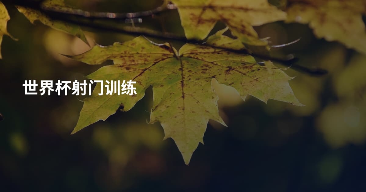世界杯射门训练