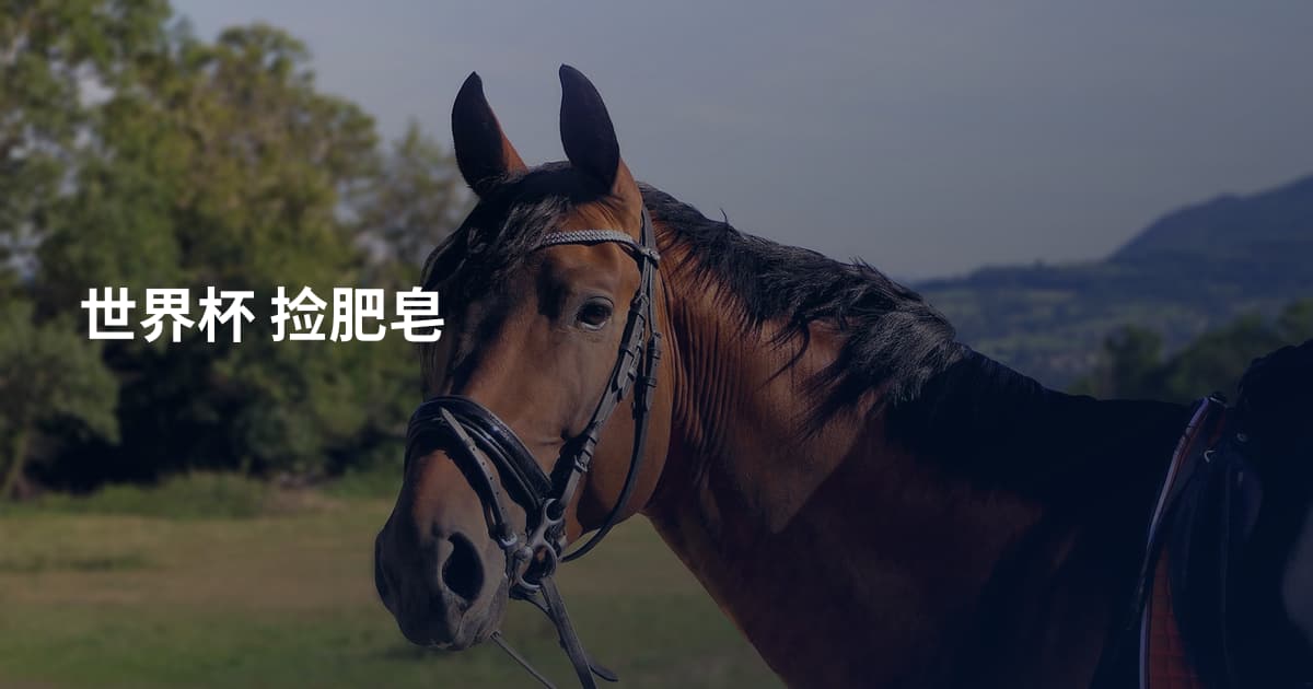 世界杯 捡肥皂
