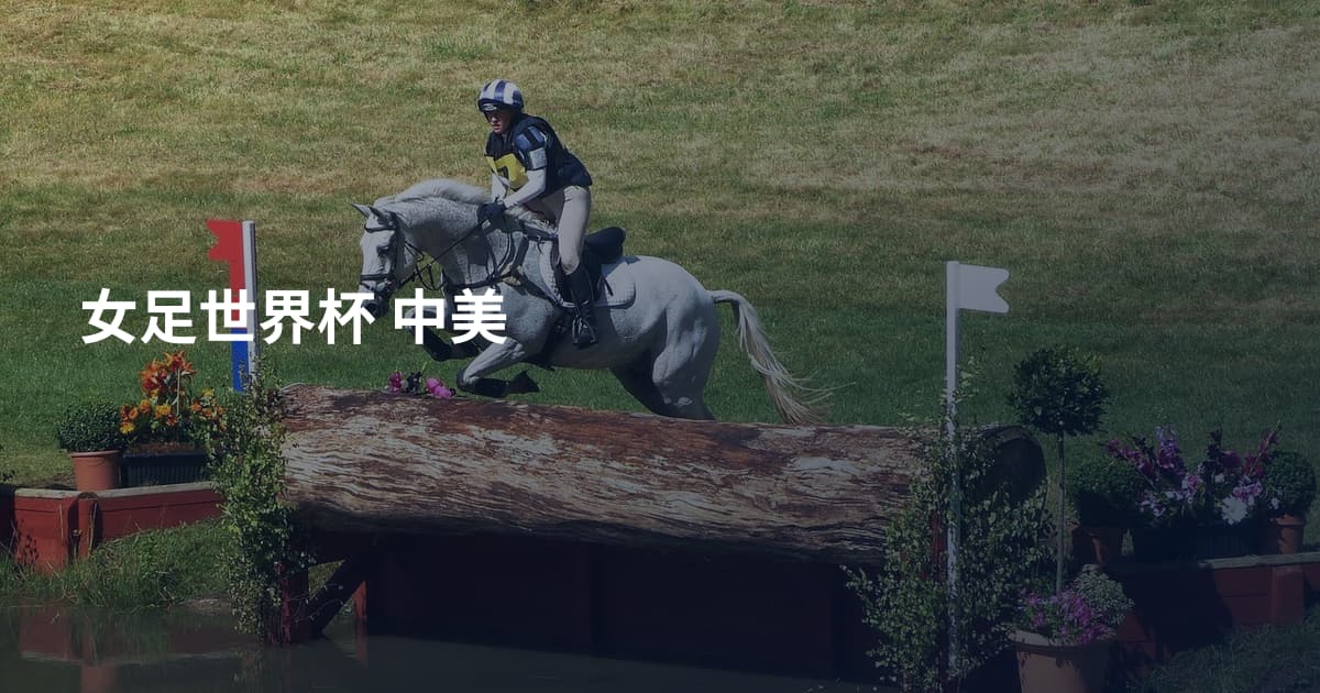 女足世界杯 中美