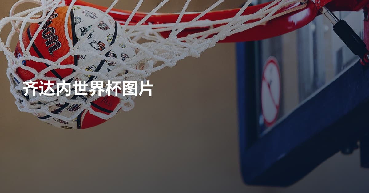齐达内世界杯图片