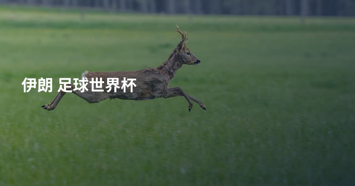 伊朗 足球世界杯