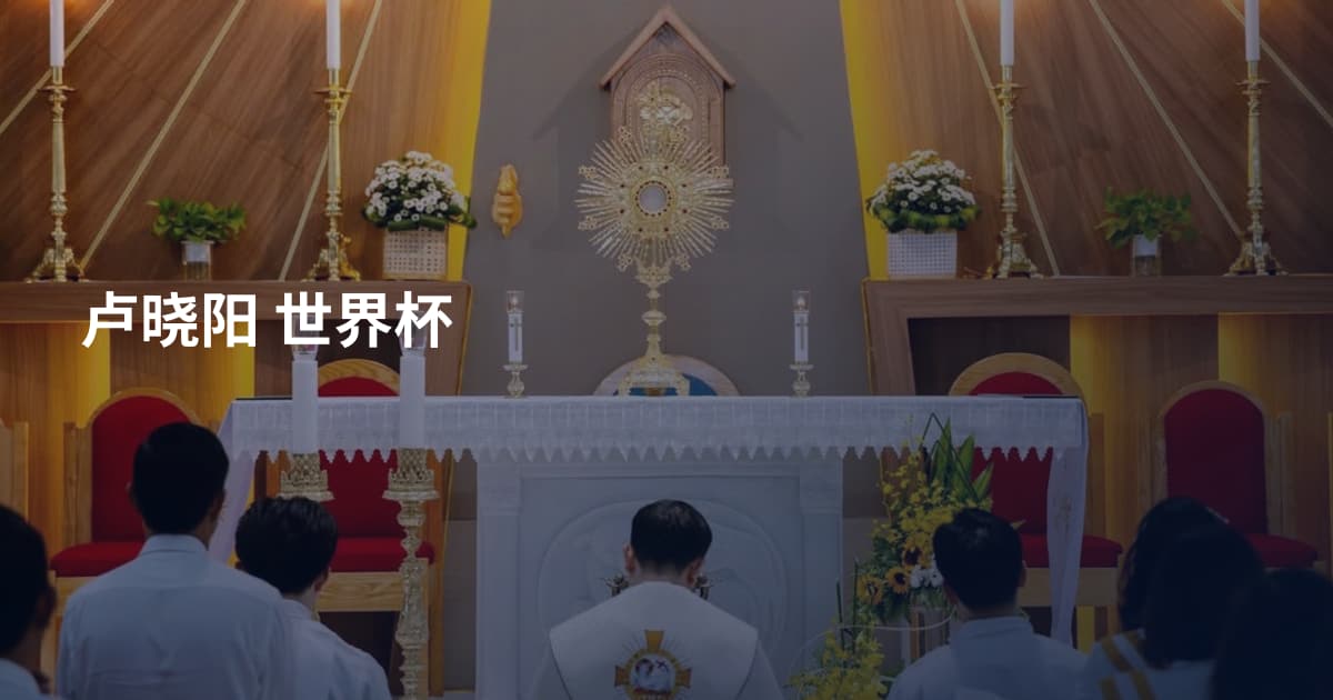 卢晓阳 世界杯