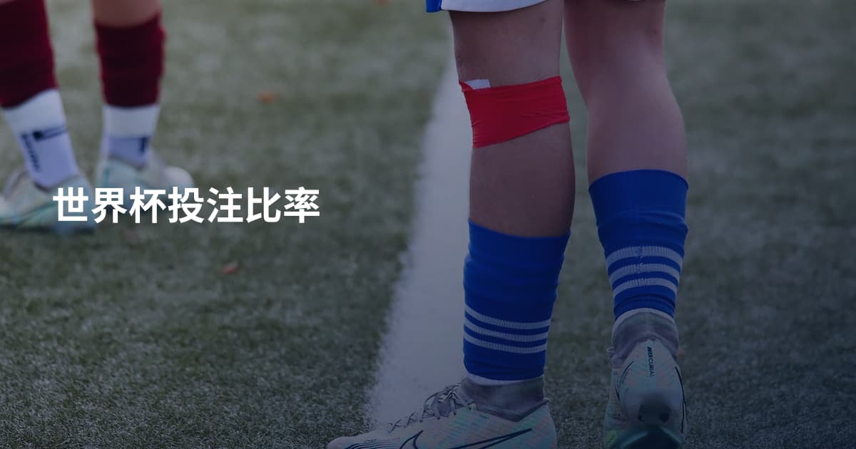 世界杯投注比率