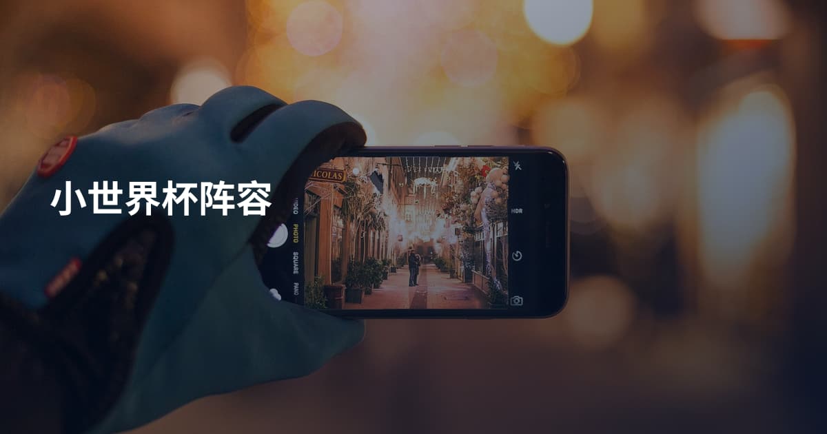 小世界杯阵容