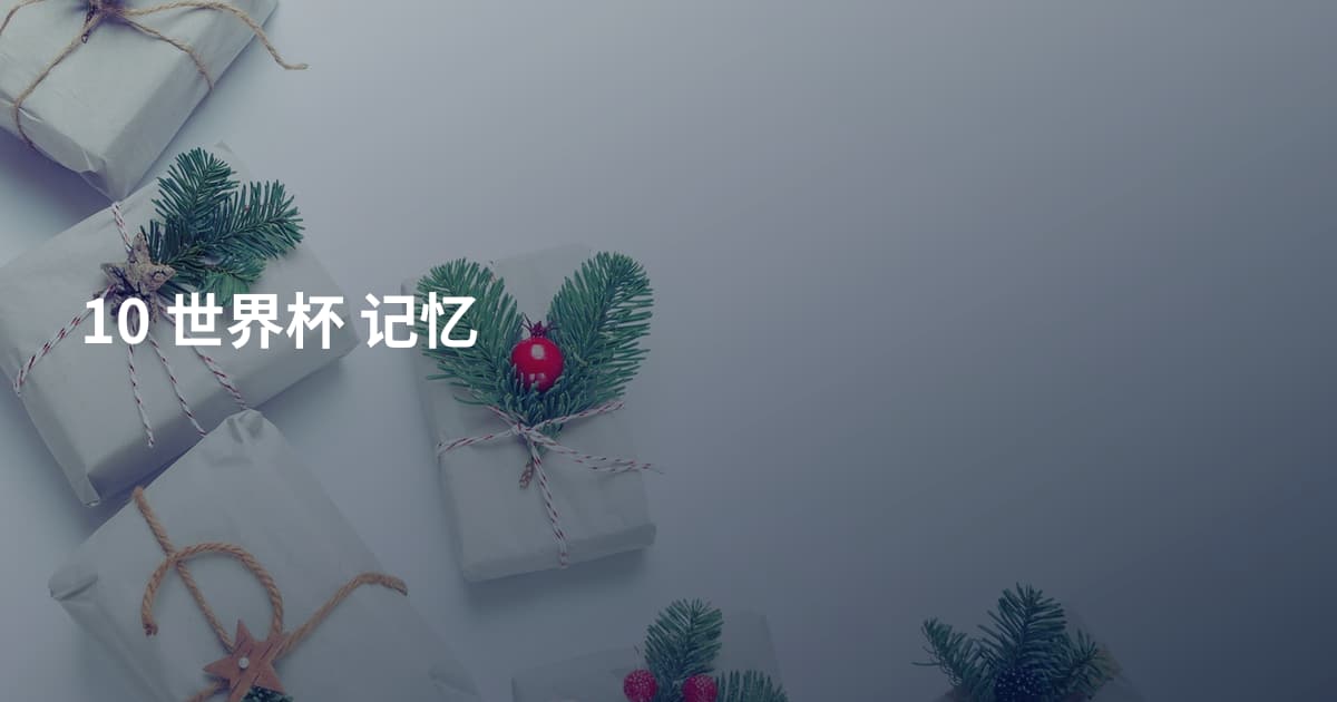 10 世界杯 记忆
