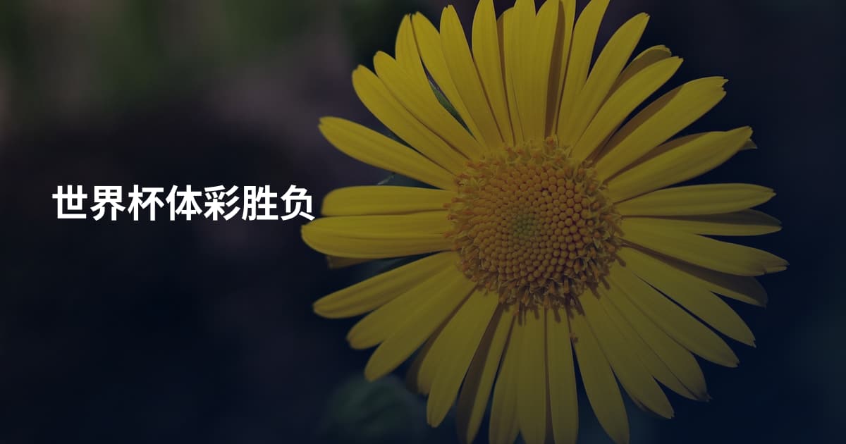世界杯体彩胜负