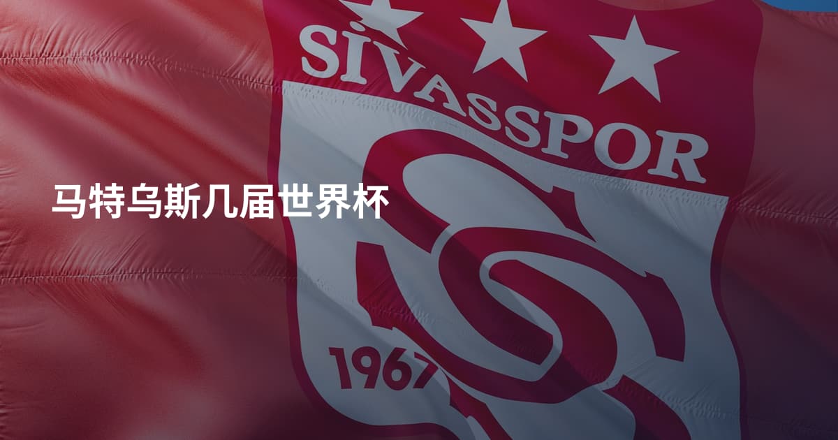 马特乌斯几届世界杯