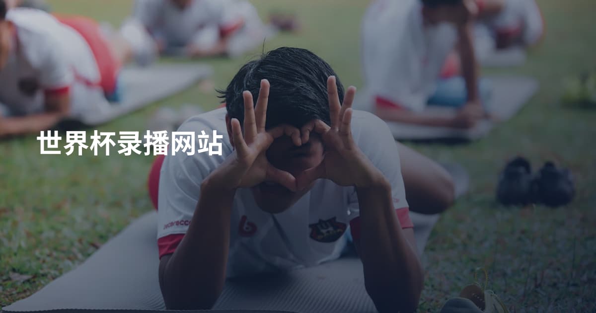 世界杯录播网站
