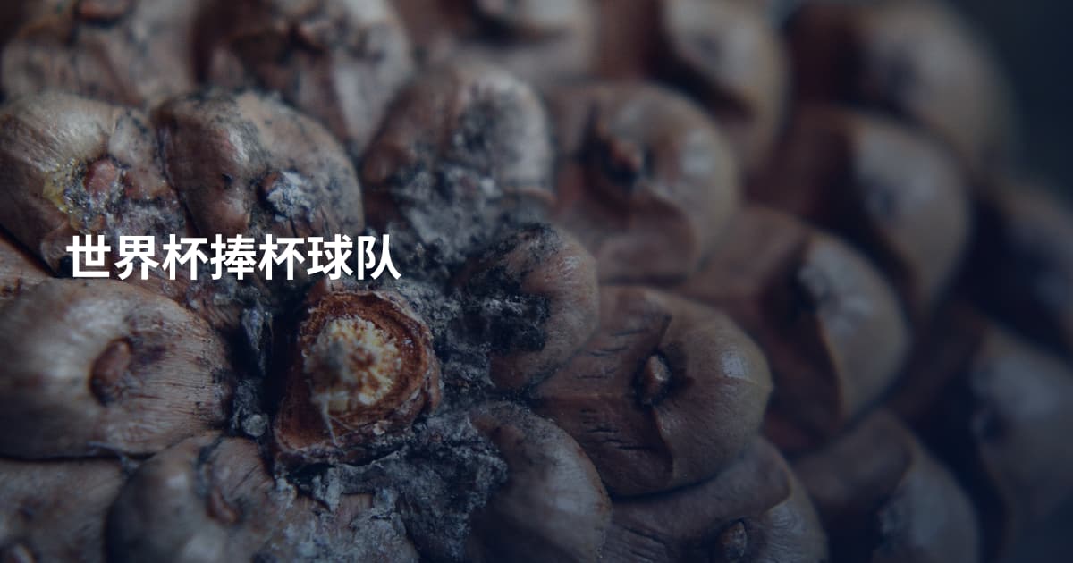 世界杯捧杯球队