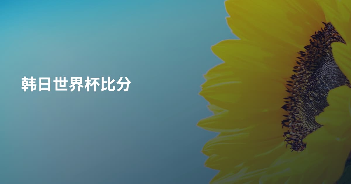 韩日世界杯比分
