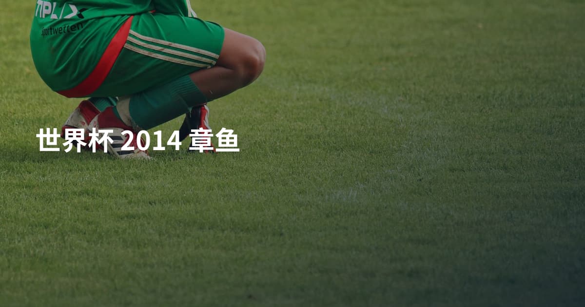 世界杯 2014 章鱼