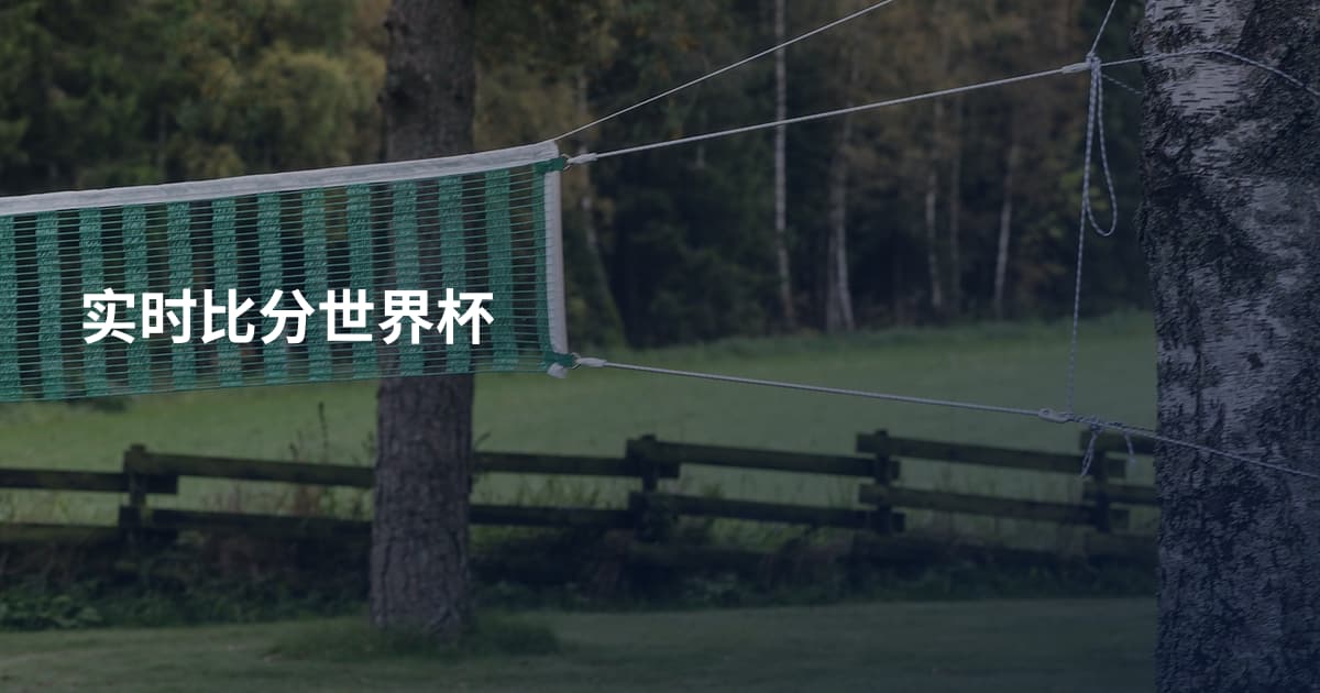 实时比分世界杯