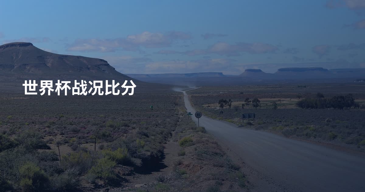 世界杯战况比分
