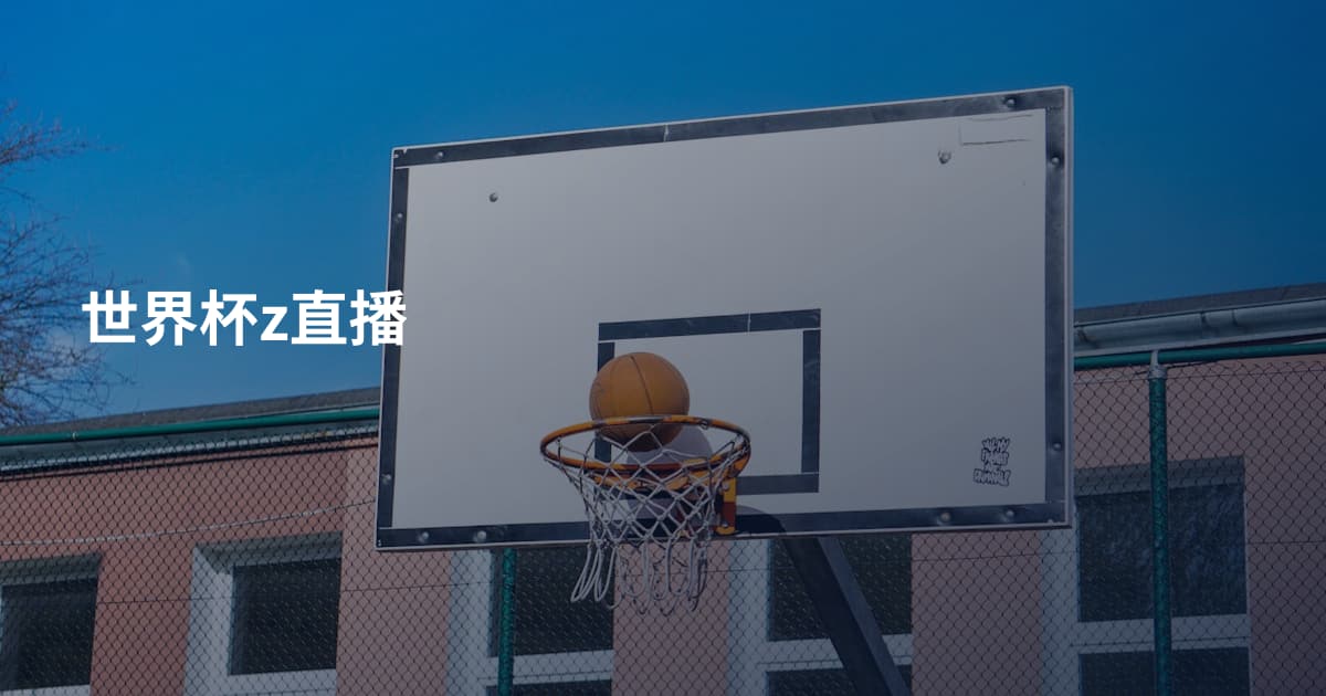世界杯z直播